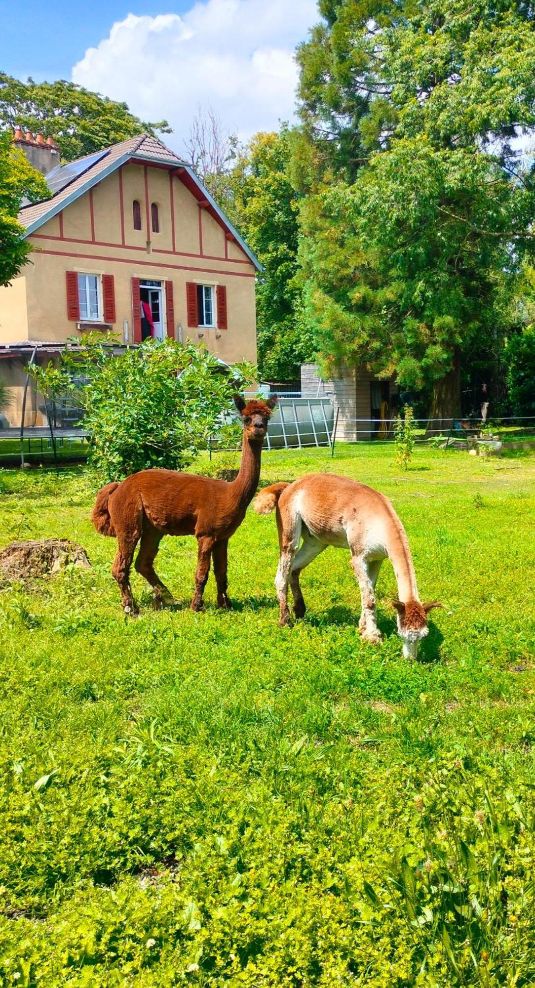 Calme Et Volupte Bed and Breakfast Maxilly-sur-Saone Buitenkant foto